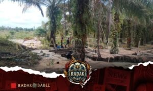 04cef782-abd7-47d0-a1c2-e6702c4890a6