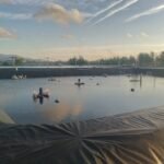 1549fda2-ec16-478b-8183-35bc0b8e2412