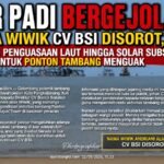 ce422a95-aa06-42d8-834b-f78aee8dcb11