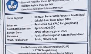 9246339c-45a9-4fe9-a3db-fadc0d82f440